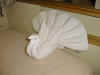 towel art 2.jpg (43456 bytes)